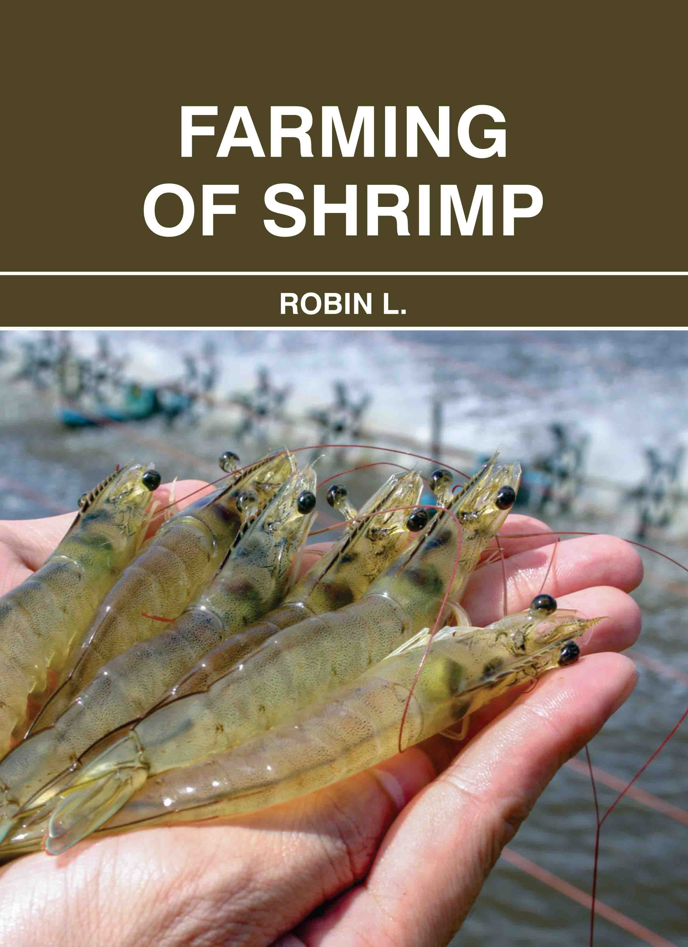 Farming of Shrimp