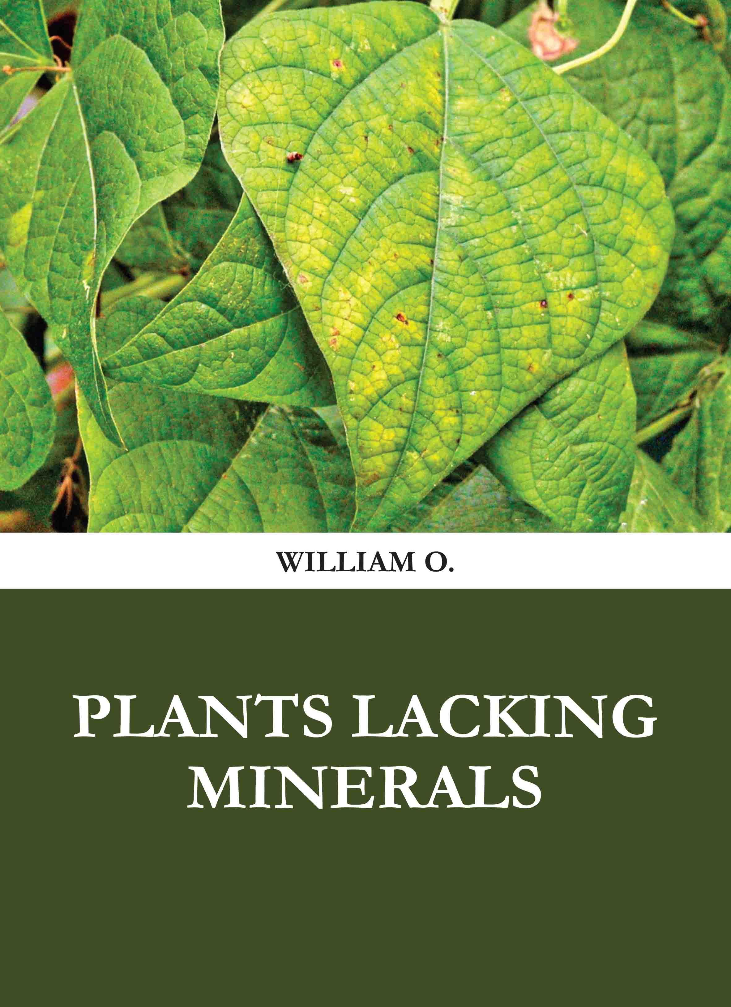 Plants Lacking Minerals