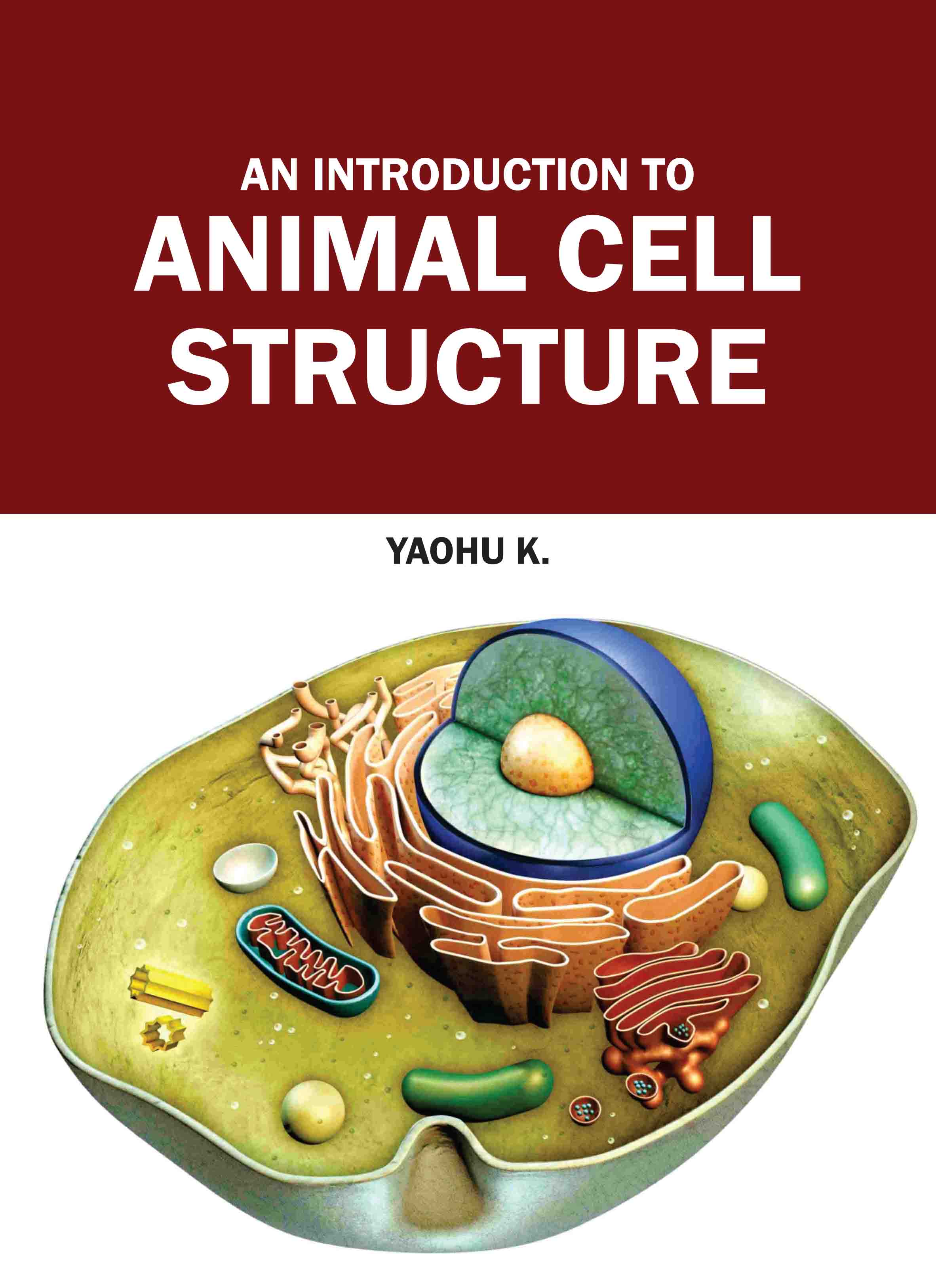 An Introduction to Animal Cell Structure